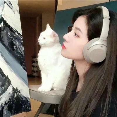 少年历险记